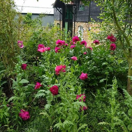 Ferienwohnung Watercress Barns Sittingbourne Exterior foto