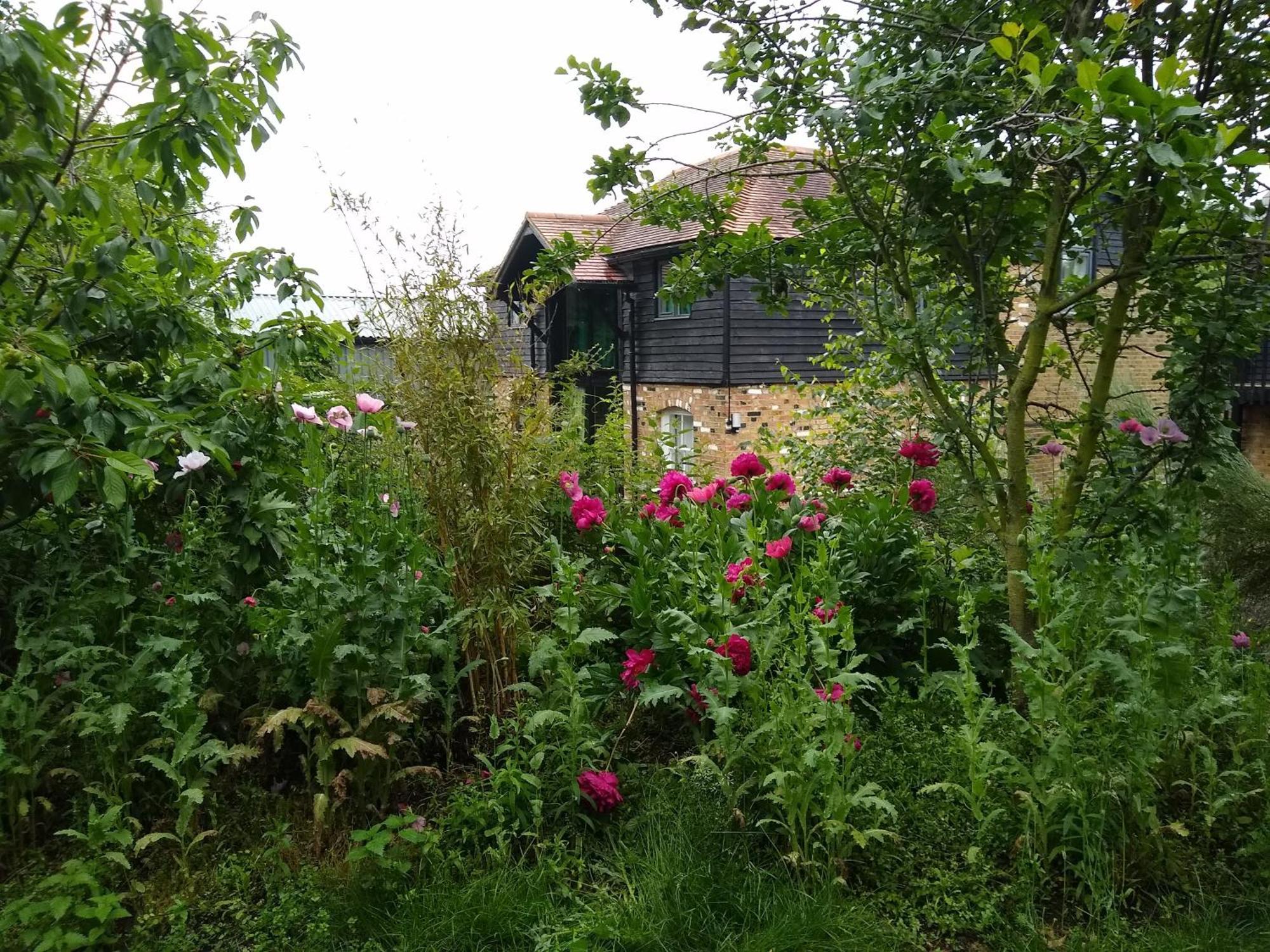 Ferienwohnung Watercress Barns Sittingbourne Exterior foto