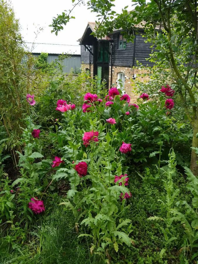 Ferienwohnung Watercress Barns Sittingbourne Exterior foto